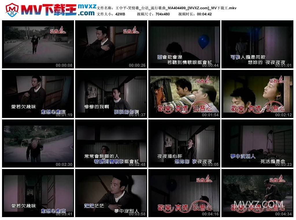 王中平-笑情歌_台语_流行歌曲_MA404499